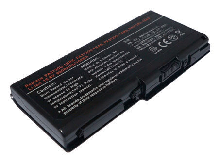 Qosmio X500-06C