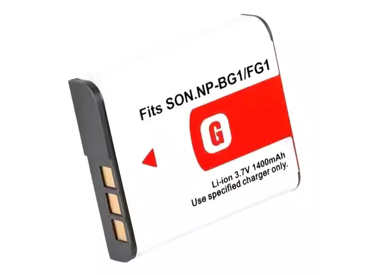 compatible avec SONY HDR-GW77V