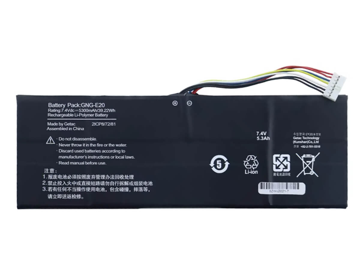 compatible avec GIGABYTE GNG-E20