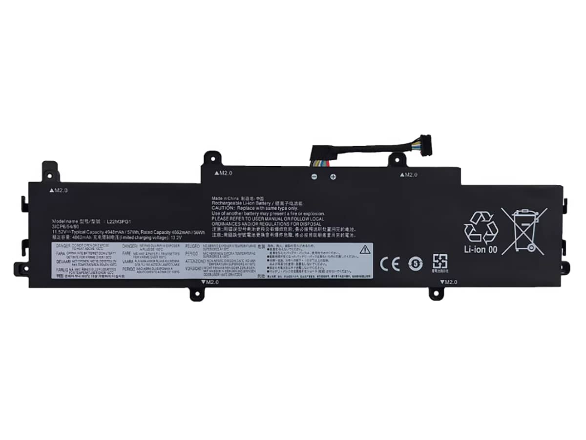 compatible avec LENOVO L22D3PG1