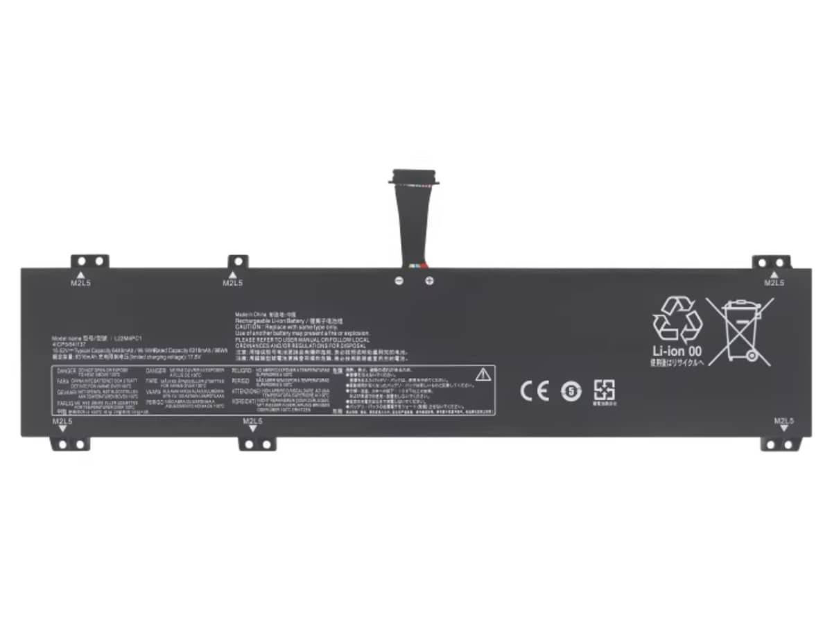 compatible avec LENOVO L22M4PC1