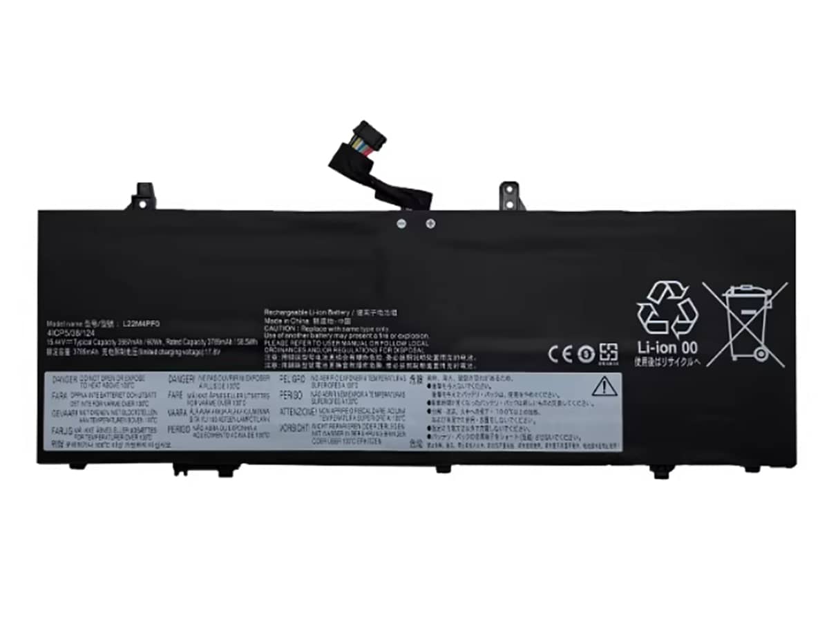 compatible avec LENOVO L22D4PF0