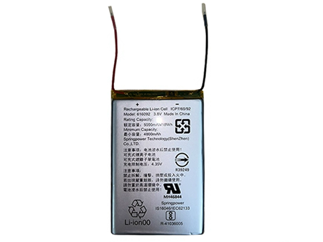 compatible avec SONY 616092