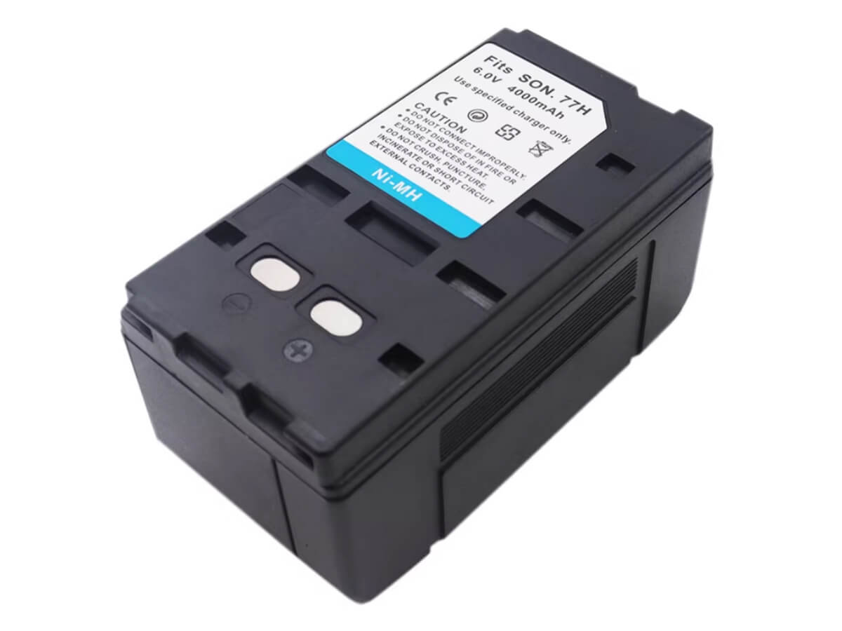 compatible avec SONY CCD-TR385E